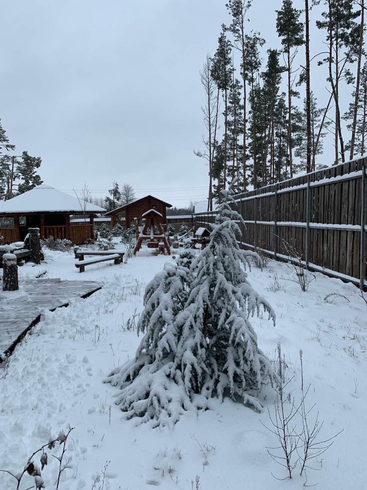 Eco Dom V Lesu Guest House Bila Krynytsia Ruang foto