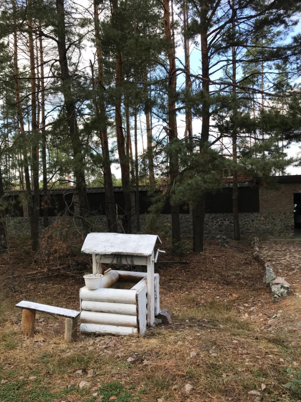 Eco Dom V Lesu Guest House Bila Krynytsia Bagian luar foto