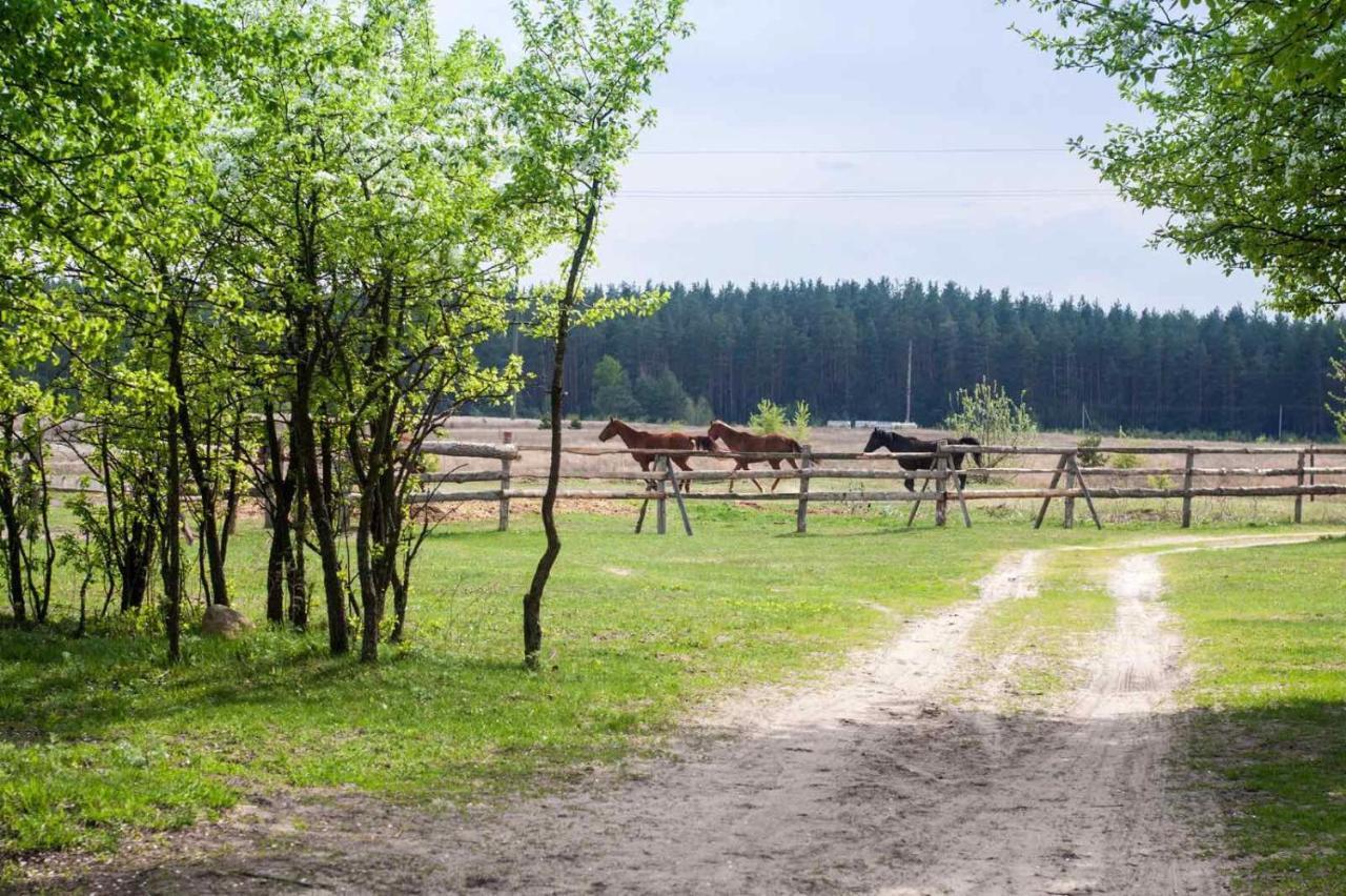 Eco Dom V Lesu Guest House Bila Krynytsia Bagian luar foto