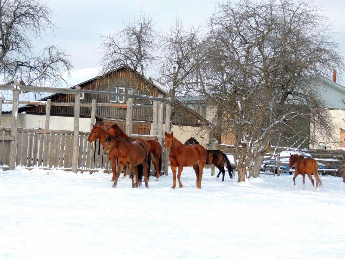 Eco Dom V Lesu Guest House Bila Krynytsia Bagian luar foto