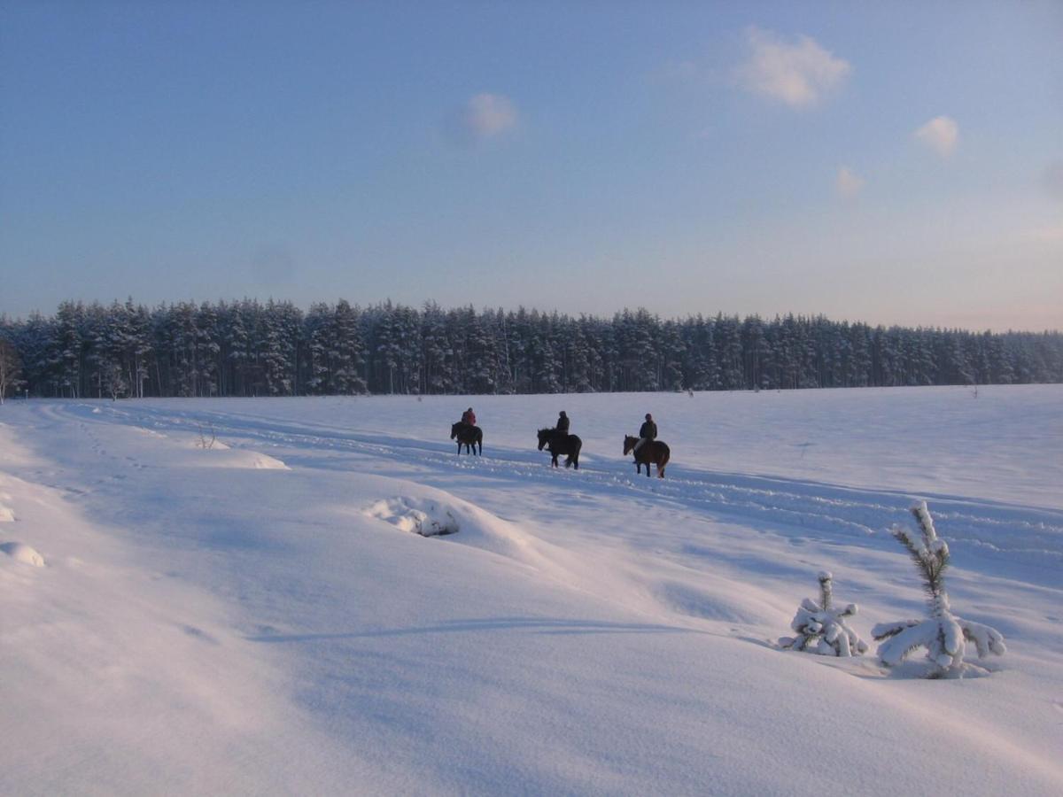 Eco Dom V Lesu Guest House Bila Krynytsia Bagian luar foto