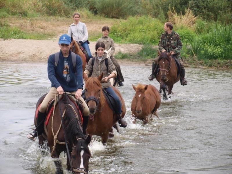 Eco Dom V Lesu Guest House Bila Krynytsia Bagian luar foto